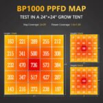 BP1000 PPFD MAP