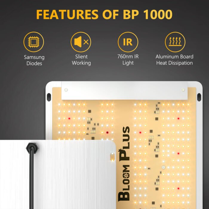 Features Of BP1000