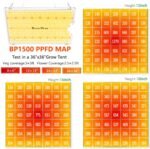 BP1500 PPFD MAP