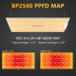 BP2500 PPFD MAP