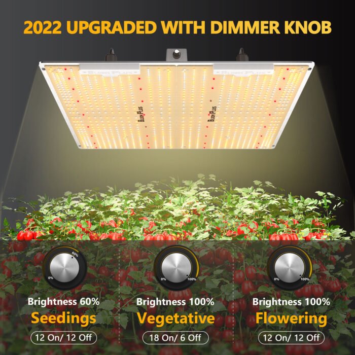 2022 upgraded with dimmer knob