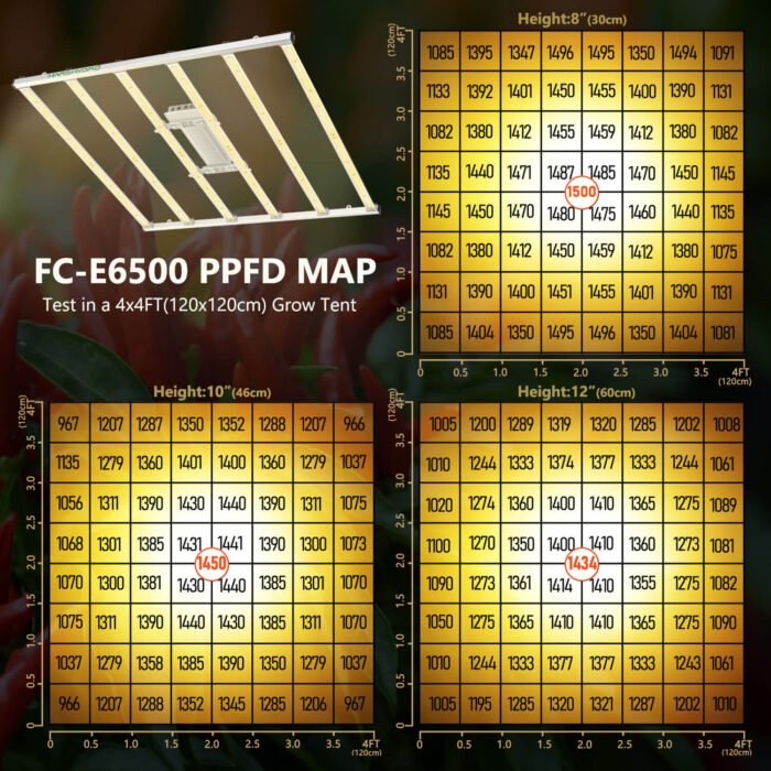 FC-E6500 PPFD MAP