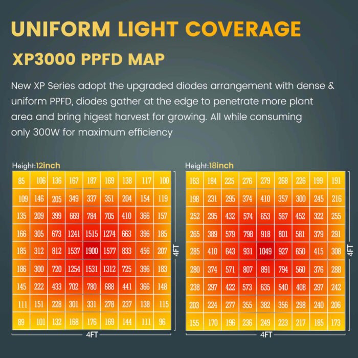 XP3000 PPFD MAP
