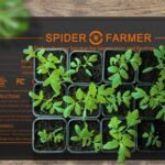 Spider Farmer Plant Heating Mat With Controller 48 x20.75” 2 Pack