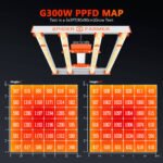 G300W PPFD MAP