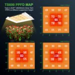 TS 600 PPFD MAP