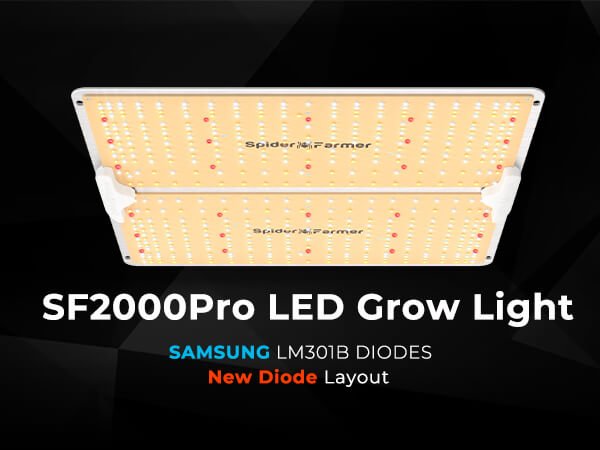 SF2000 Pro led grow light