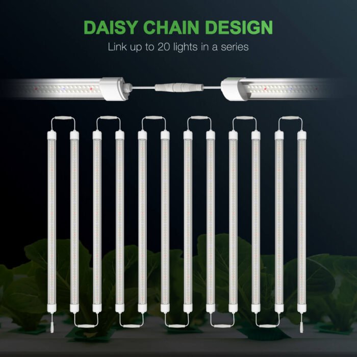 Daisy chain design