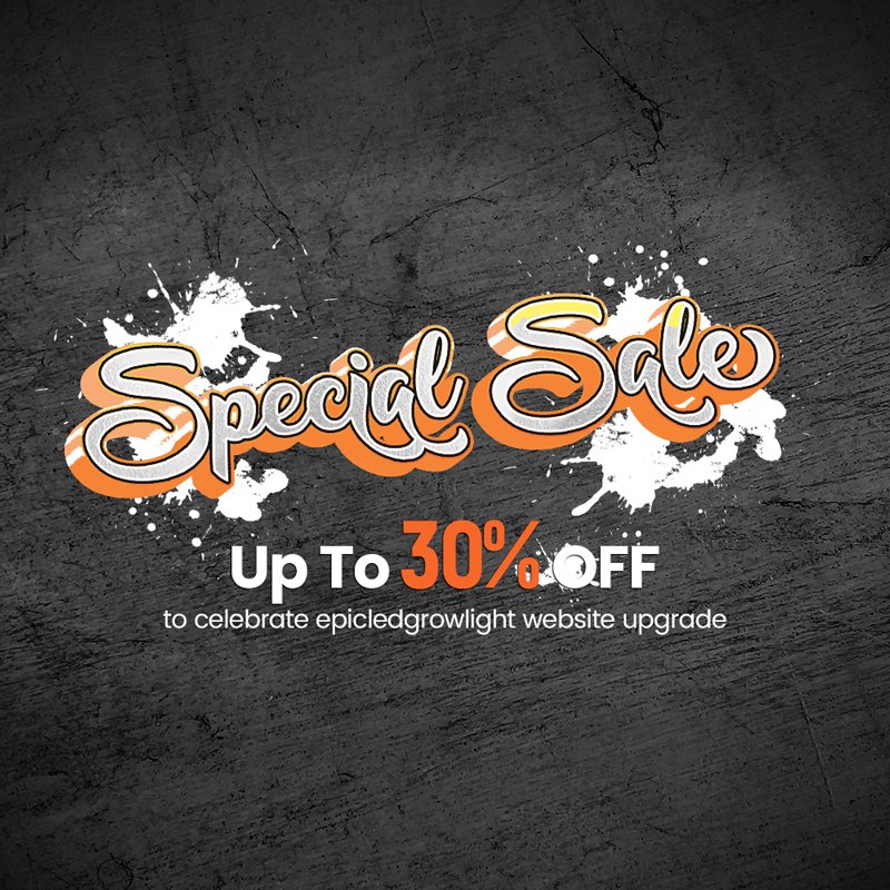 SPecial-SALE-800x800(1)